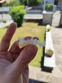 Flexi_Dragon 0.2mm layer, 2 walls, 15% infill