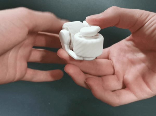 https://makerworld.bblmw.com/makerworld/model/USd0c152557d3125/design/2024-08-26_51b2ea6408f86.gif
