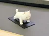 Plank Cat - With Yoga Mat