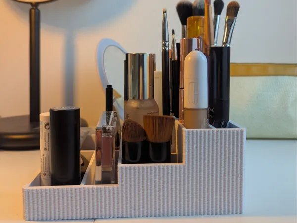 https://makerworld.bblmw.com/makerworld/model/USd0c3d4ebb8c7f8/design/c9bb2bd9495f93ce.jpg