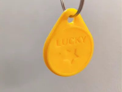 Lucky Coin Keychain (Customizable)