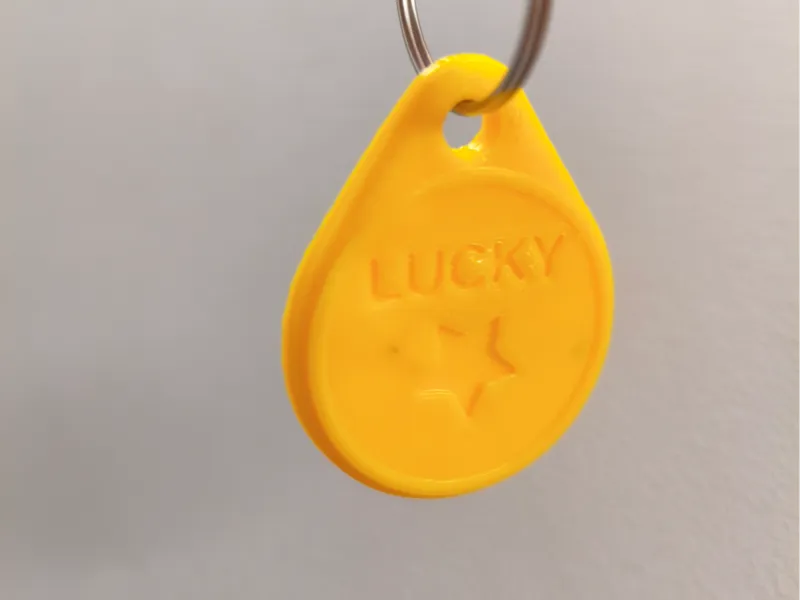 Lucky Coin Keychain (Customizable)