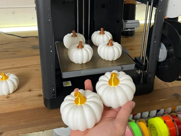 https://makerworld.bblmw.com/makerworld/model/USd0c87f06f4f71c/design/2025-10-17_71ba5e4dc0b26.jpeg