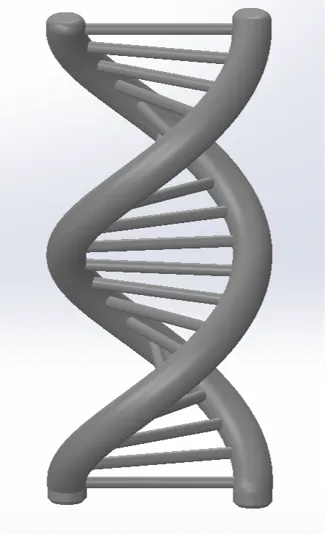 DNA Spiral
