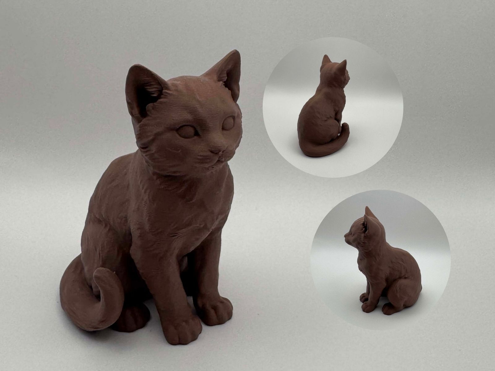Elegant Sitting Cat – detailed realistic kitty