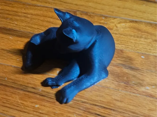 Laying Cat
