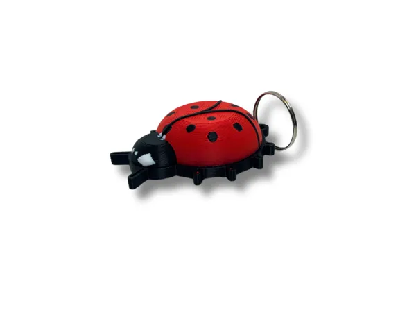 https://makerworld.bblmw.com/makerworld/model/USd0cc3dad03d399/design/2024-11-14_1f1576513ac5a.png