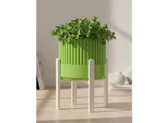 Raised Planter