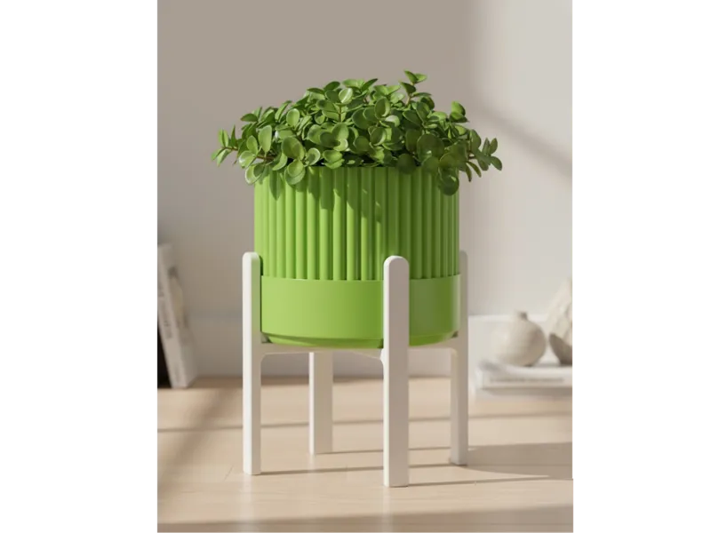 Raised Planter