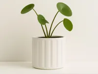 Pot de fleur cylindrique — photo 1