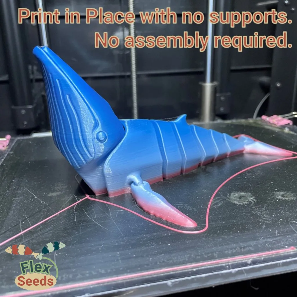 Flexi Humpback Whale (print-in-place) view 4