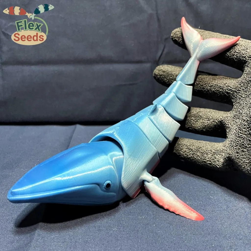 Flexi Humpback Whale (print-in-place) view 2