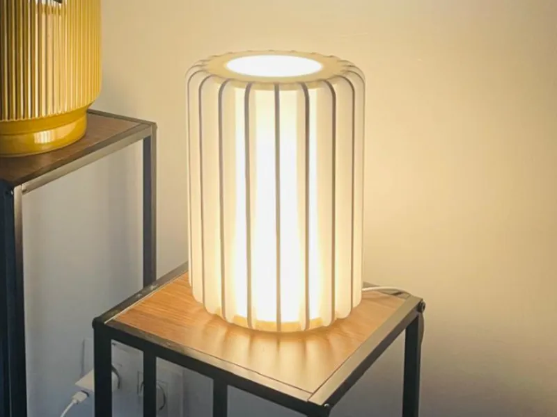 Lyra - Customizable Modern Lamp