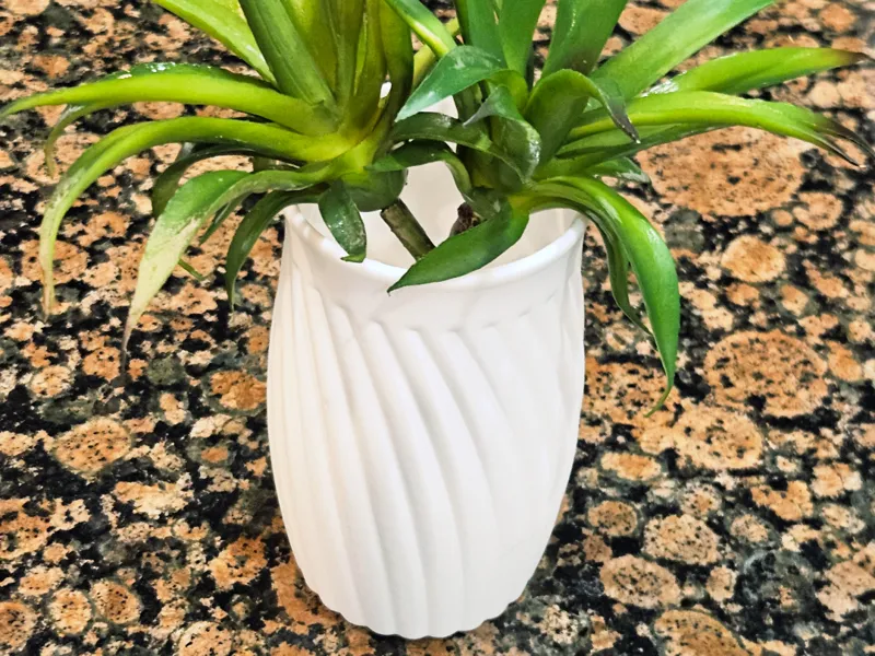 Spiral Vase