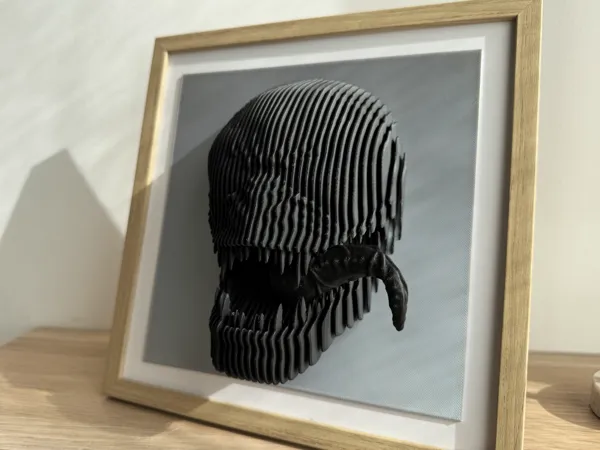 https://makerworld.bblmw.com/makerworld/model/USd0e9884b58a6cb/design/2025-02-17_f6f52c10b4a7c.jpg