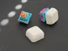 Blank and homing 1u keycaps