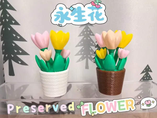 https://makerworld.bblmw.com/makerworld/model/USd0ef98ef64b210/design/2025-07-17_e04ed95bf1255.jpg