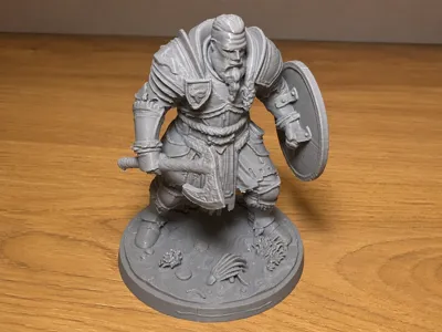 Viking, northen men (House of Stark)inspired
