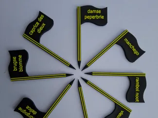 Customizable Cheese Flags (No AMS Required!)