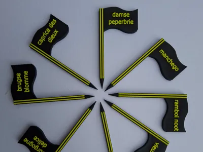 Customizable Cheese Flags (No AMS Required!)