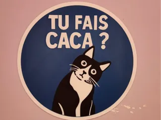 Tu fais caca ?
