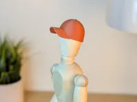 PLA model - PETG supports