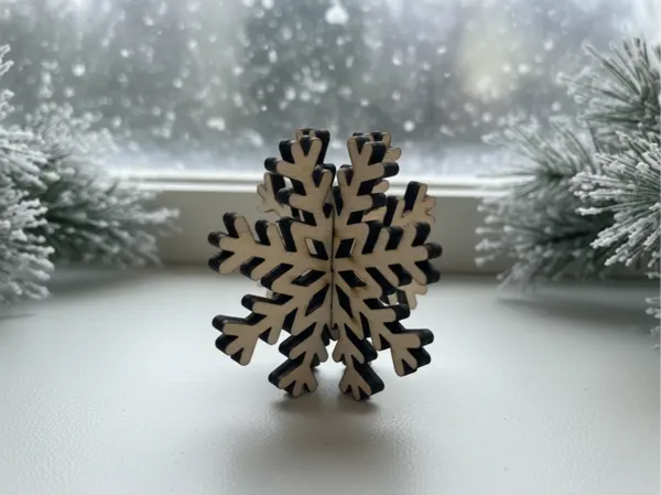 https://makerworld.bblmw.com/makerworld/model/USd10100084d9341/design/2025-11-18_30371dd401773.png