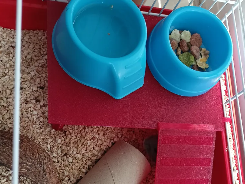 Hamster / Rodent cage balcony