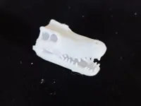 0.2mm 层高, 2 层墙, 10% 填充