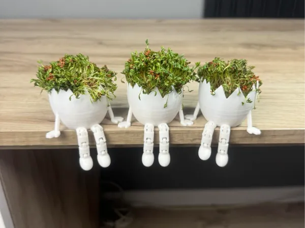 https://makerworld.bblmw.com/makerworld/model/USd10cdc76a19a2/design/2025-03-20_2c438340cd1.jpg