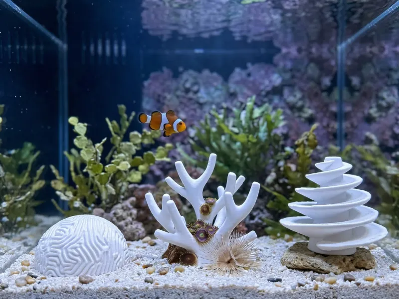 Decorative Coral Reef Collection (3-Piece Set)