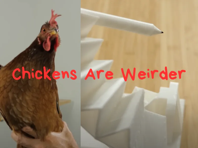 Chickens Are Weirder