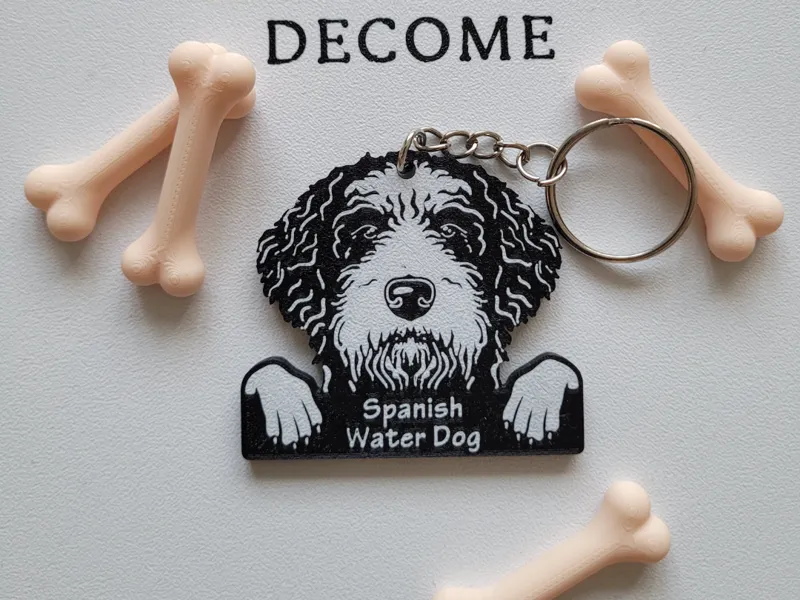Spanish Water Dog Keychain