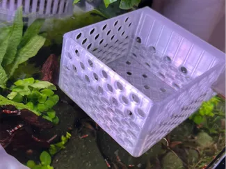 AquaClip Plant Holder