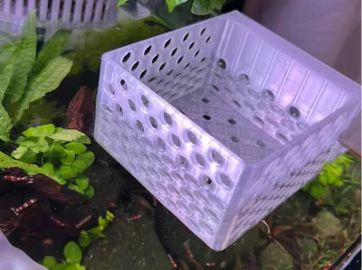 AquaClip Plant Holder