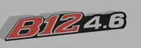 B12 4.6