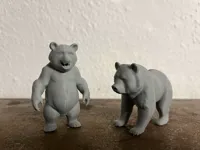 Ours grizzly — photo 2