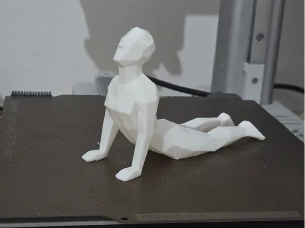 https://makerworld.bblmw.com/makerworld/model/USd11da4250d02ad/design/2025-08-22_c39454c92ed54.jpeg