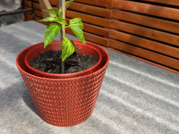 https://makerworld.bblmw.com/makerworld/model/USd120c1cbb603f6/design/2025-11-25_f9ed03e010ec88.jpg