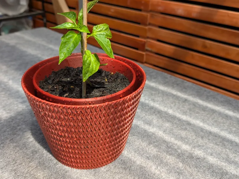 Self-watering Plant Pot