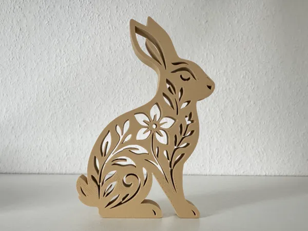 https://makerworld.bblmw.com/makerworld/model/USd128a83e8436ca/design/2026-01-10_c84147f1ea775.jpg