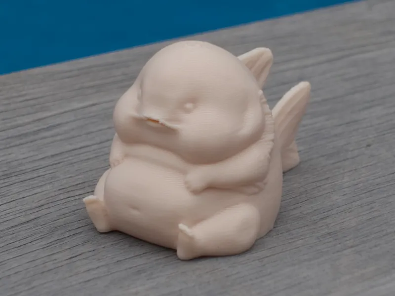 Chubby Fish