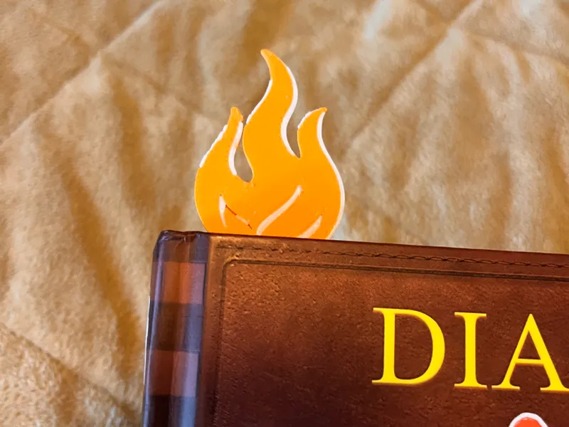 FIRE Book mark