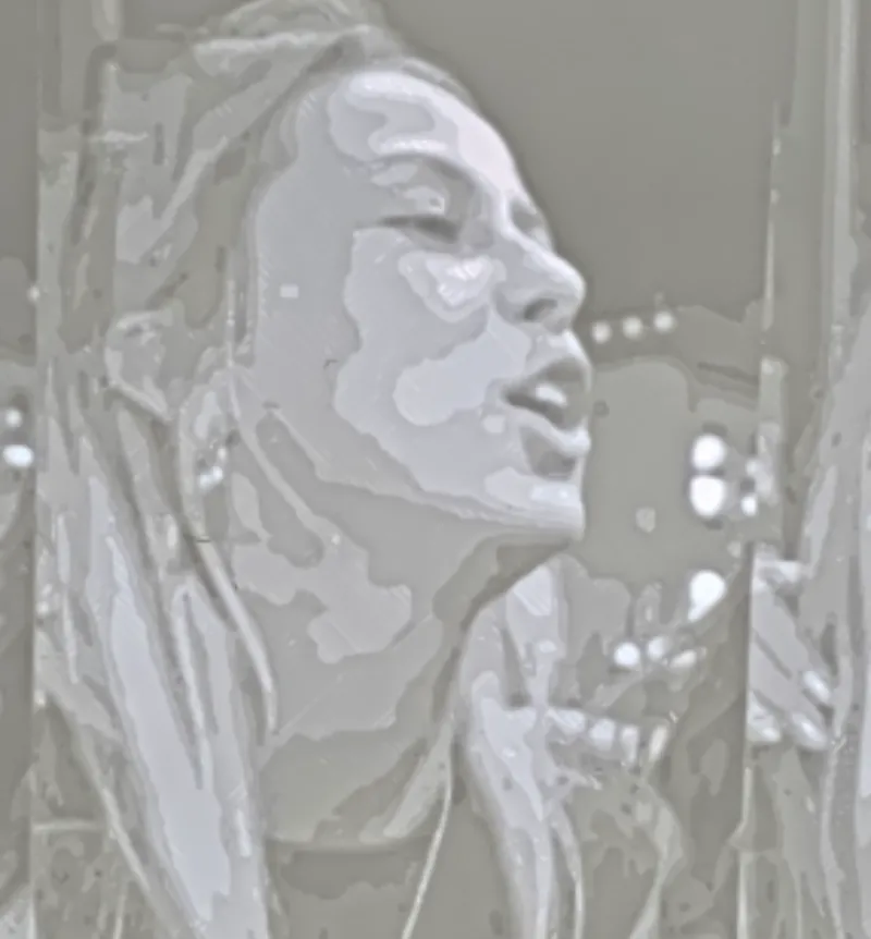 Hawk Tuah Lithophane 