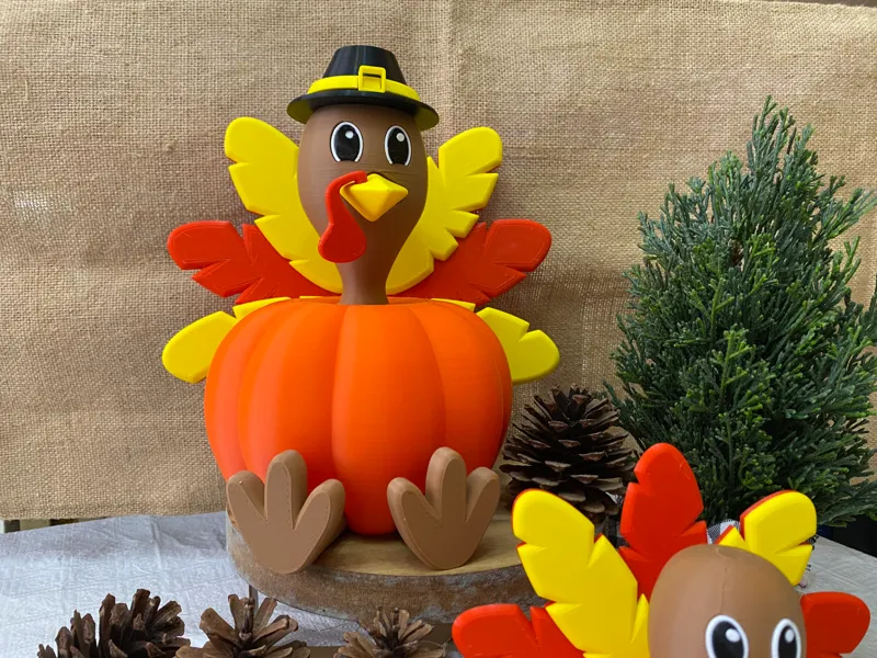 Tom-Tom the pumpkin turkey
