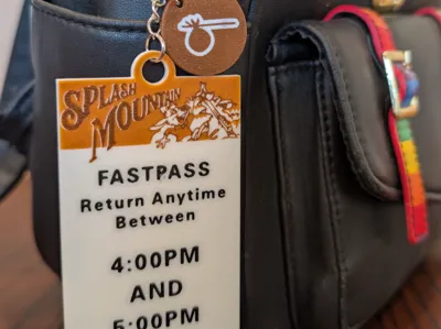 Splash Mountain FastPass Keychain & Charm