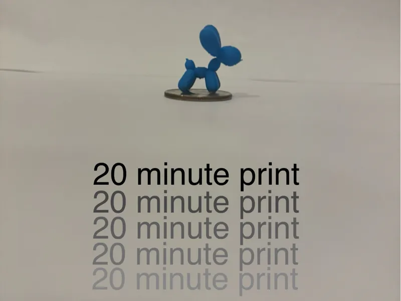 mini balloon dog