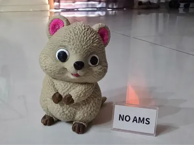 Cute Quokka – No AMS Required 