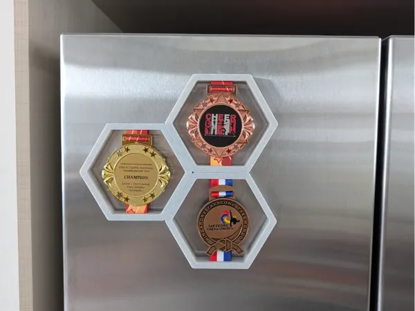 https://makerworld.bblmw.com/makerworld/model/USd140f5754be5b2/design/2025-06-02_b8f458d2ffa788.jpg