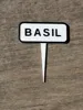 BASIL